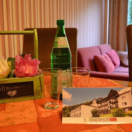 Sonnenhof-Willingen-3